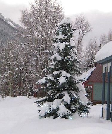 Blair Street Hostel Telluride Esterno foto